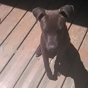 Meet your Posher, Lexy